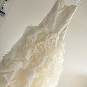 Vera Wang Wedding Dress - Champagne Color
